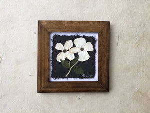 Dried Flowers; dogwood is the provincial flower of BC _ pressed floral art