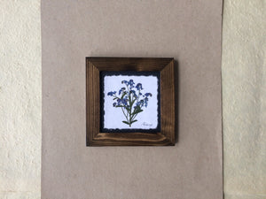 Dried forget me nots; made in canada pressed forget me not artwork