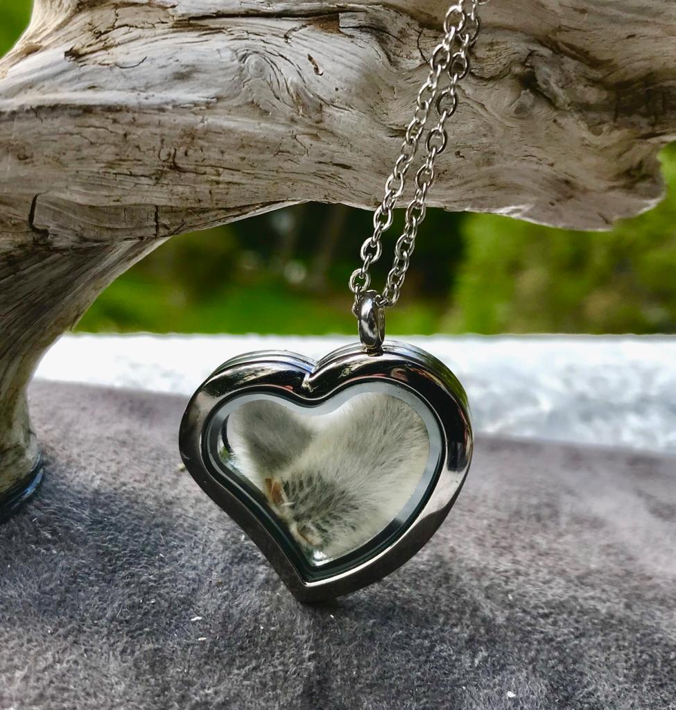 Pussy Willow Silver Stainless Steel Heart Locket by Pressed Wishes