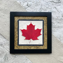 real pressed maple leaf framed artwork made in Canada