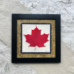 real pressed maple leaf framed artwork made in Canada