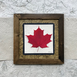 dried single maple leaf framed artwork with green handmade paper and a brown frame