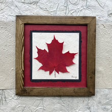real pressed maple leaf framed artwork with red handmade paper and a walnut frame