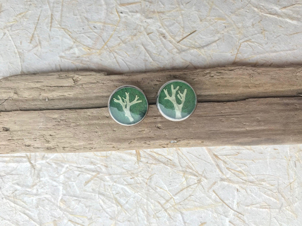 lichen tree of life stud earrings with green back ground. Stainless steel