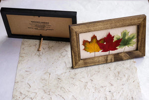real pressed maple leaf home decor comes with dowel to stand on its own