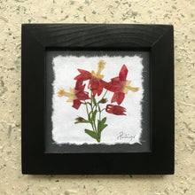 Dried Flowers; Pressed botanical art; Wild columbine framed artwork in black handmade frame