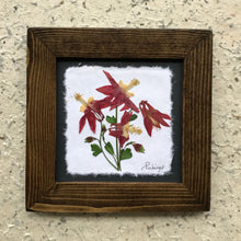 dried flowers; pressed botanical artwork; wild columbine with walnut frame